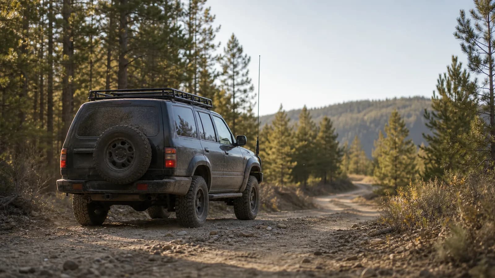 Off-road vehicle on a forest trail with a whip antenna mounted on the hood, dust hanging in the afternoon light